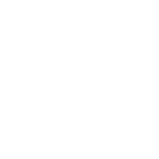logo light